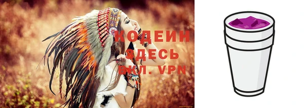 гашик Абаза