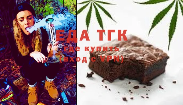 индика Алексин