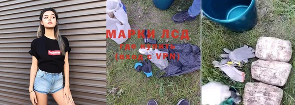 индика Алексин
