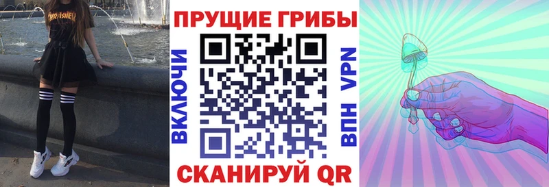 Псилоцибиновые грибы Cubensis Саки