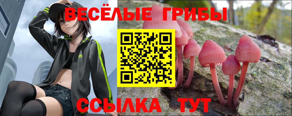 как найти закладки  Псилоцибиновые грибы MAGIC MUSHROOMS  Вход с VPN  Псилоцибиновые грибы Magic Shrooms  Саки 